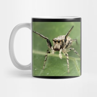 Jumping Spider Mug